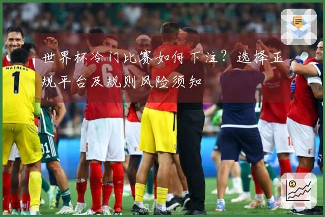 世界杯冷门比赛如何下注？选择正规平台及规则风险须知